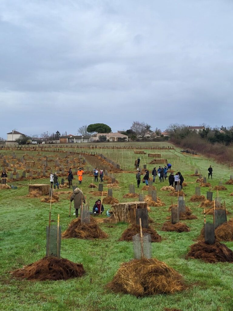 Vallée de Guyot, plantation d'arbres par l'équipe du groupe So Space Niort  pour soutenir la biodiversité locale - Partenaire de Créateur de Forêt